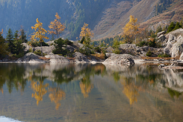 Lorem ipsum Lorem ipsum